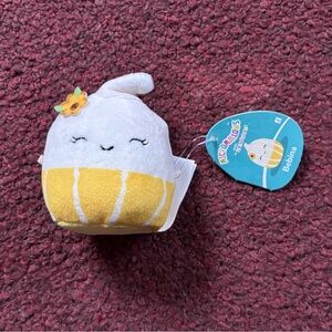 Squishmallows Bebina the Squash Gourd Micromallow 2.5” Stuffed Plush